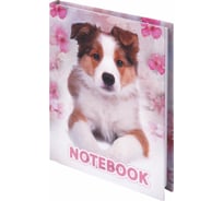 Блокнот BRAUBERG 110 х147 мм, А6, 80л, ламинир. обложка, выборочн. лак, клетка, Собака, 123240