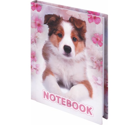 Блокнот BRAUBERG 110 х147 мм, А6, 80л, ламинир. обложка, выборочн. лак, клетка, Собака, 123240 1