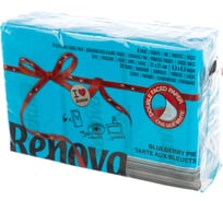 Бумажные платочки Renova 6 пачек по 10 листов Blueberry Blue 5601028020626