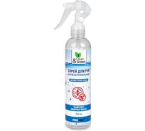Спрей для рук антибактериальный Прохим 250 мл Clean&Green CG8002