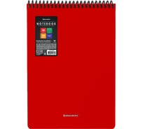 Блокнот BRAUBERG большого формата А4, 80 л., обложка пластик, клетка, Metropolis, Красный, 115573