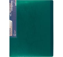 Папка Expert Complete с файлами-вкладышами 6 шт по 20 листов A4 40 мкм Premier 600 мкм 20 мм волокно зеленый new 722186