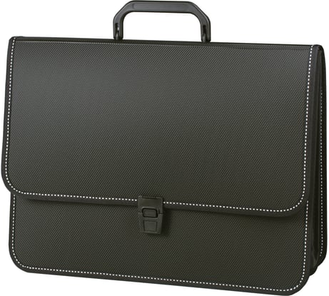 Пластиковый портфель "Консул", А4 370x280x120 мм, 2 отделения, с окантовкой, фактура бисер BRAUBERG 223079