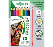 Набор цветных пластиковых шестигранных карандашей ACMELIAE 12 цветов в картонном футляре PCP-012