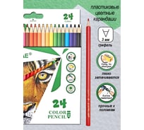 Набор цветных пластиковых шестигранных карандашей ACMELIAE 24 цвета в картонном футляре PCP-024