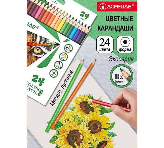 Набор цветных пластиковых шестигранных карандашей ACMELIAE 24 цвета в картонном футляре PCP-024