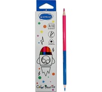 Набор цветных двусторонних трехгранных карандашей ACMELIAE 6 шт, 12 цветов в картонном футляре C06-12