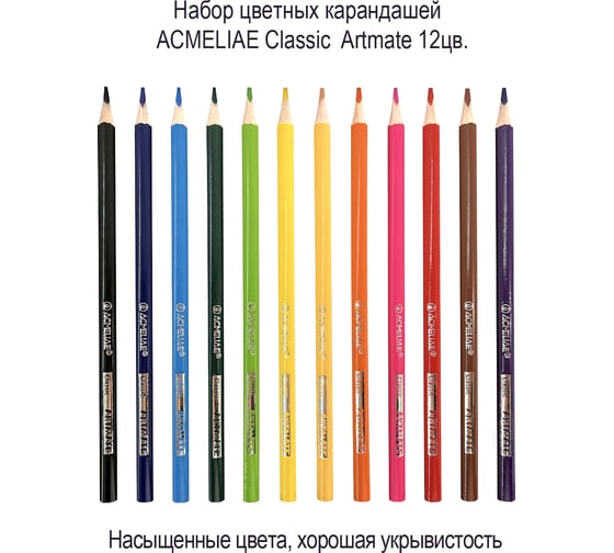 Набор цветных классических карандашей ACMELIAE Classic Artmate 12 цветов в картонном футляре 43126