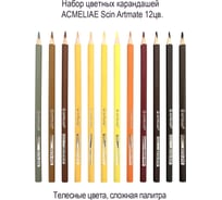Набор цветных телесных карандашей ACMELIAE Skin Artmate 12 цветов в картонном футляре 8802