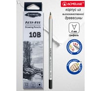 Карандаш чернографитный ACMELIAE 10B шестигранный 12 шт, корпус серебряный 8000-10B EAN