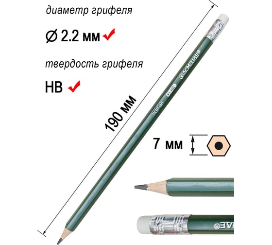 Карандаш чернографитный ACMELIAE пластиковый 12 шт HB с ластиком шестигранный, корпус зеленый PGP-88 EAN