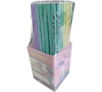 Карандаш чернографитный ACMELIAE HB Pastel трехгранный, 6 цветов корпуса, 72 шт 43985 EAN