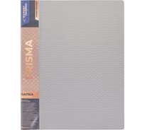 Папка на 4 О-кольцах Expert Complete 4 шт., A4, 700 мкм, 25 мм, диаметр 17 мм, PRISMA, серебряный new EC211400129 726457