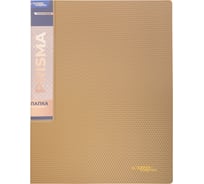 Папка на 2 О-кольцах Expert Complete 4 шт., A4, 700 мкм, 25 мм, диаметр 20 мм, PRISMA, золотой new EC211300128 726446