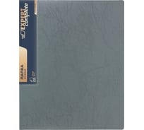 Папка на 2 О-кольцах Expert Complete 4 шт., A4, 700 мкм, 25 мм, диаметр 20 мм, Premier, серый EC211330015 709173