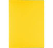 Папка с файлами-вкладышами Expert Complete 6 шт., 20 л., A4, 500 мкм, 15 мм, песок, Classic желтый EC2701209 605601