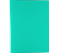 Папка с файлами-вкладышами Expert Complete 6 шт., 30 л., A4, 500 мкм, 15 мм, песок, Classic, зеленый ЕС2701303 605721