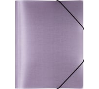 Папка на резинке Expert Complete A4, 600 мкм, 35 мм, 1 шт., Trend ICEberries, ежевика EC210420072 709209