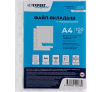 Файл-вкладыш Expert Complete 100 шт., A4, 25 мкм, Classic, матовый, прозрачный EC2200725 706228