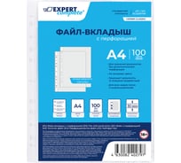 Файл-вкладыш Expert Complete 100 шт., A4, 30 мкм, Classic, матовый, прозрачный EC2200730 706204