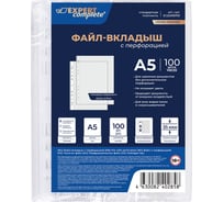 Файл-вкладыш Expert Complete 100 шт., вертикальный A5, 35 мкм, Premier, глянцевый, прозрачный EC22006750 709495