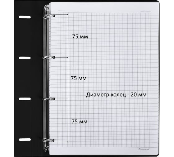 Тетрадь на кольцах BRAUBERG Большая А4 (240x310 мм), 120 л., под кожу, Vista, Пастельная 404514