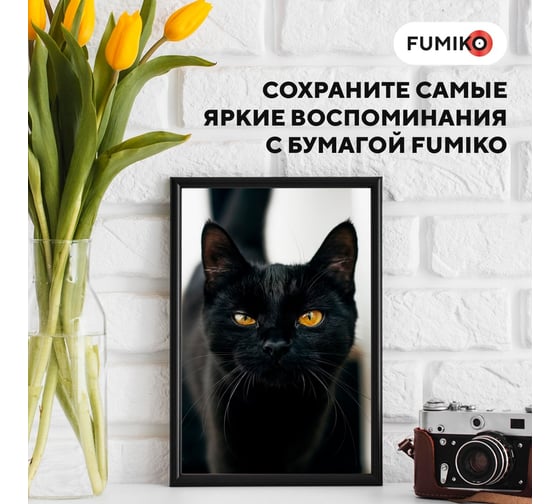 Фотобумага матовая односторонняя 180г/10x15/50л FUMIKO FPM-10x1518050