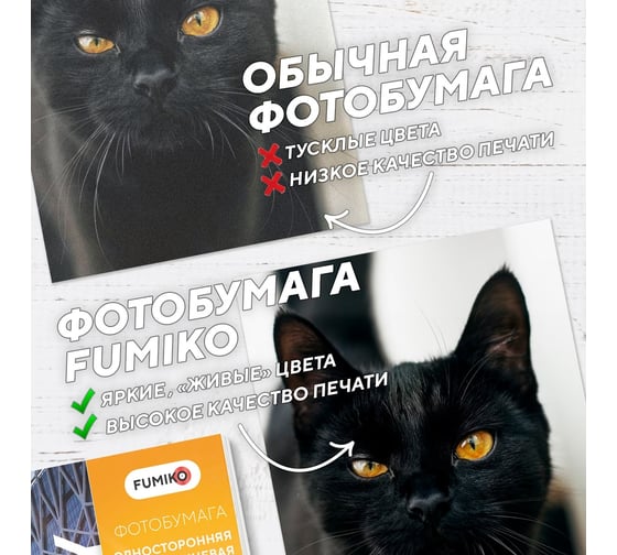 Фотобумага глянцевая односторонняя 200г/А4/50л FUMIKO FPG-A420050