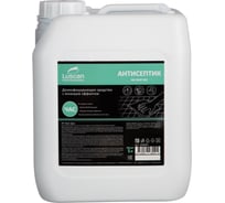 Дезинфицирующее средство Luscan Профхим антисептик с ЧАС /Quat Dez, 5л 1928944