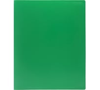 Папка на 2-х кольцах WORKMATE А4, 18 мм, 500 мкм, зеленый 15-6094