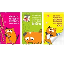 Блокнот LAMARK на скобе серия Рыжий кот, А6, 30 листов, 102x162 мм, клетка, 15 шт в упаковке NB0213-S