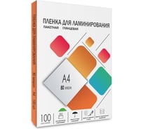 Пленка-заготовка ГЕЛЕОС A4, 216х303, 80 мкм, глянцевая, 100шт LPA4-80