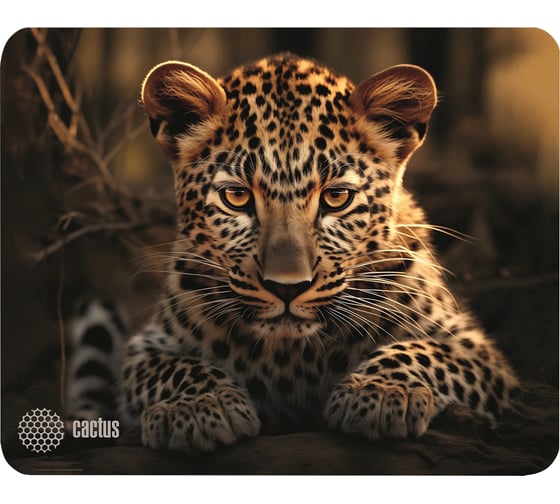 Коврик для мыши CACTUS Leopard 250x200x3 мм (CS-MP-D06S) 2006243 1