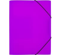 Папка на резинке Expert Complete 5 шт. A4 600 мкм 35 мм эффект 3D PRISMA NEON пурпурный EC210400022 679793
