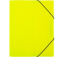 Папка на резинке Expert Complete 5 шт. A4 600 мкм 35 мм эффект 3D PRISMA NEON желтый EC210400009 679792