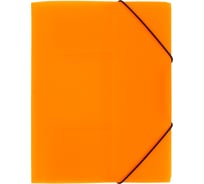 Папка на резинке Expert Complete 5 шт. A4 600 мкм 35 мм эффект 3D PRISMA NEON оранжевый EC210400012 679794