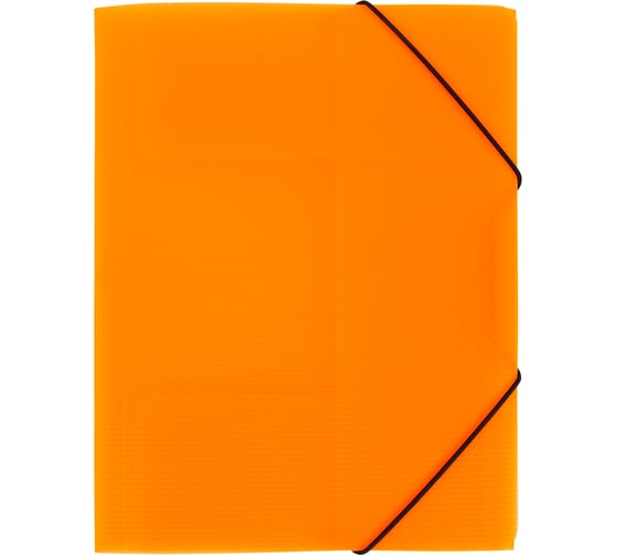 Папка на резинке Expert Complete 5 шт. A4 600 мкм 35 мм эффект 3D PRISMA NEON оранжевый EC210400012 679794