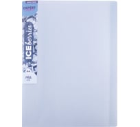 Папка Expert Complete с файлами-вкладышами 60 л. A4 700 мкм 25 мм 1 шт. Trend ICEberries лёд EC211820074 709306