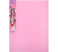 Папка Expert Complete с файлами-вкладышами 60 л. A4 700 мкм 25 мм 1 шт. Trend ICEberries клубника EC211820073 709303