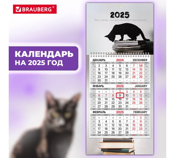 Календарь квартальный BRAUBERG на 2025 г., 1 блок, 1 гребень, с бегунком, Мини, офсет, Smart cat, 116123