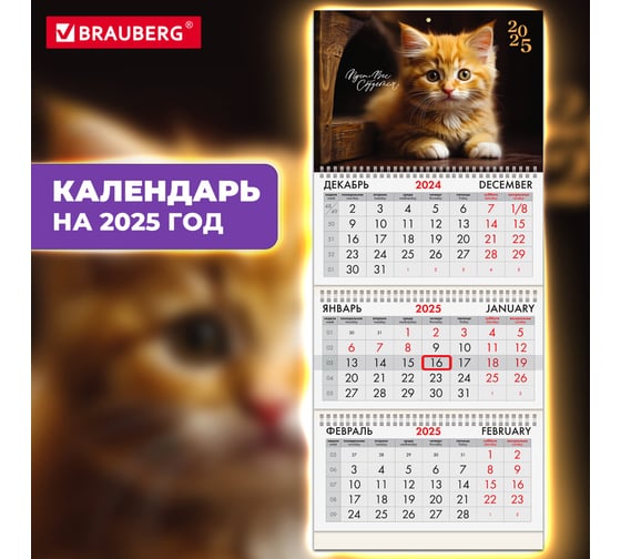 Календарь квартальный BRAUBERG на 2025 г., 3 блока, 3 гребня, с бегунком, офсет, Котенок, 116106