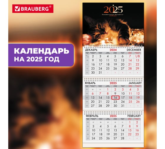Календарь квартальный BRAUBERG на 2025 г., 3 блока, 3 гребня, с бегунком, офсет, Милый котик, 116099
