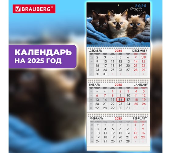 Календарь квартальный BRAUBERG на 2025 г., 3 блока, 3 гребня, с бегунком, мелованная бумага, Милые котики, 116138