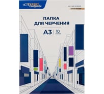 Папка для черчения Expert Complete EC1001215 200 г/м2, A3 29.7x42 см, папка 10 л. 732859