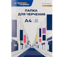Папка для черчения Expert Complete EC2001216 200 г/м2, A4 21x29.7 см, папка 20 л. 732880