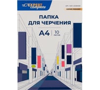 Папка для черчения Expert Complete EC1001216 200 г/м2, A4 21x29.7 см, папка 10 л. 732873