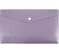 Папка-конверт Expert Complete Trend ICEberries 12 шт., с кнопкой, travel, 180 мкм, ежевика ЕС211120062 709310