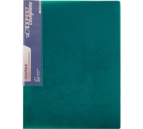 Папка с пружинным скоросшивателем Expert Complete Premier 6 шт., A4, 700 мкм, 20 мм, волокно, зеленый new EC210530037 720676