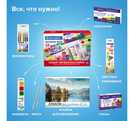 Набор канцелярии подарочный "43 предмета", BRAUBERG 880949