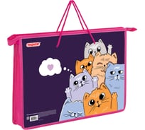 Папка Пифагор на молнии с ручками А4, 1 отделение, пластик, ручки-шнурок, Cats greetings, 272111